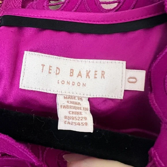 Ted Baker Sleeveless Dress with Lace Details - Picture 4 of 8